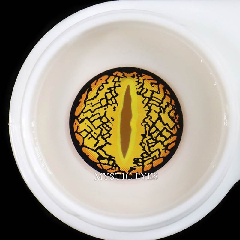 Brown Lizard Eye