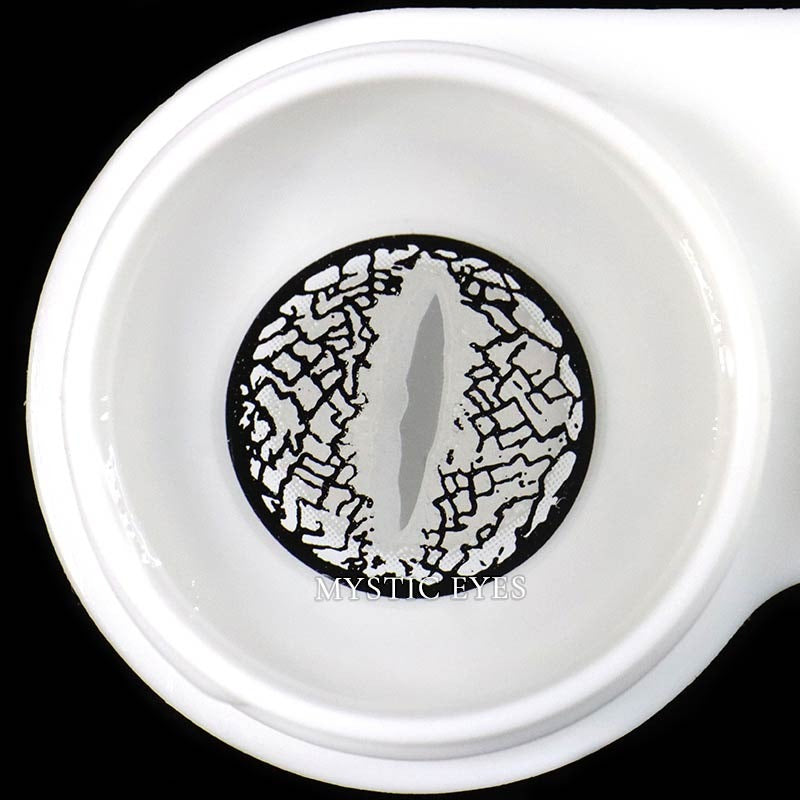 Silver Lizard Eye