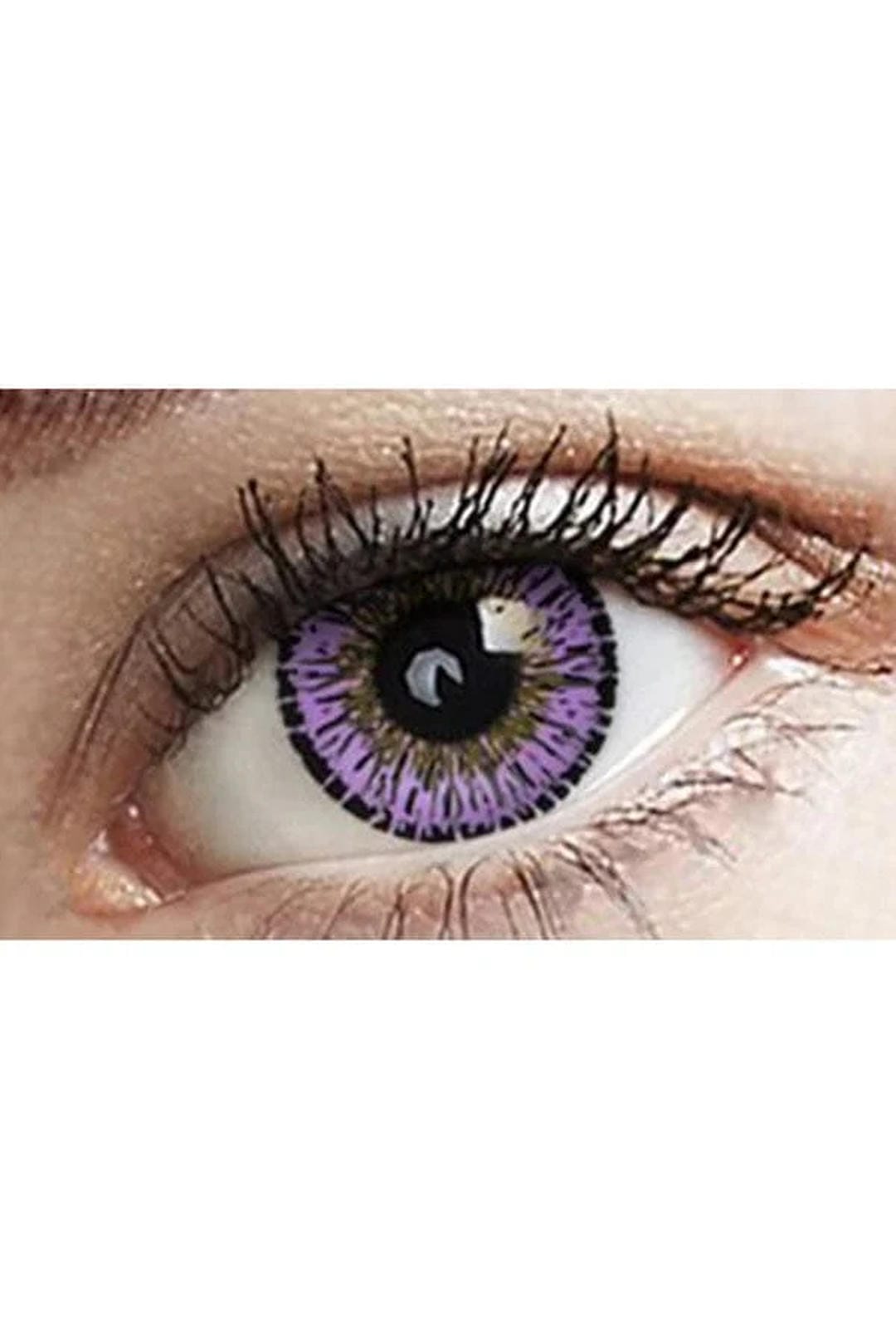 Violet Eye To Eye