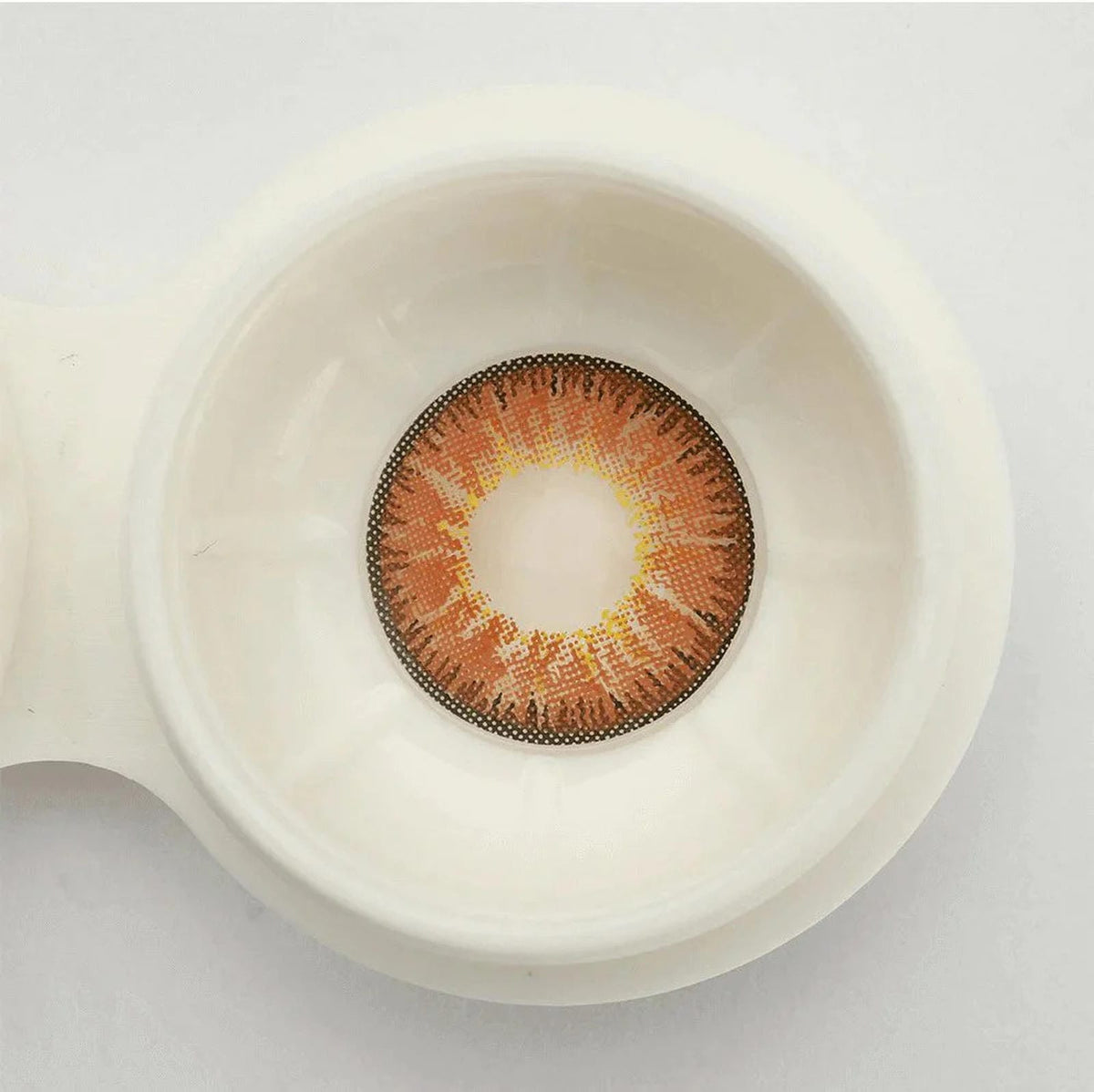 Nonno Brown Coloured Contact Lenses