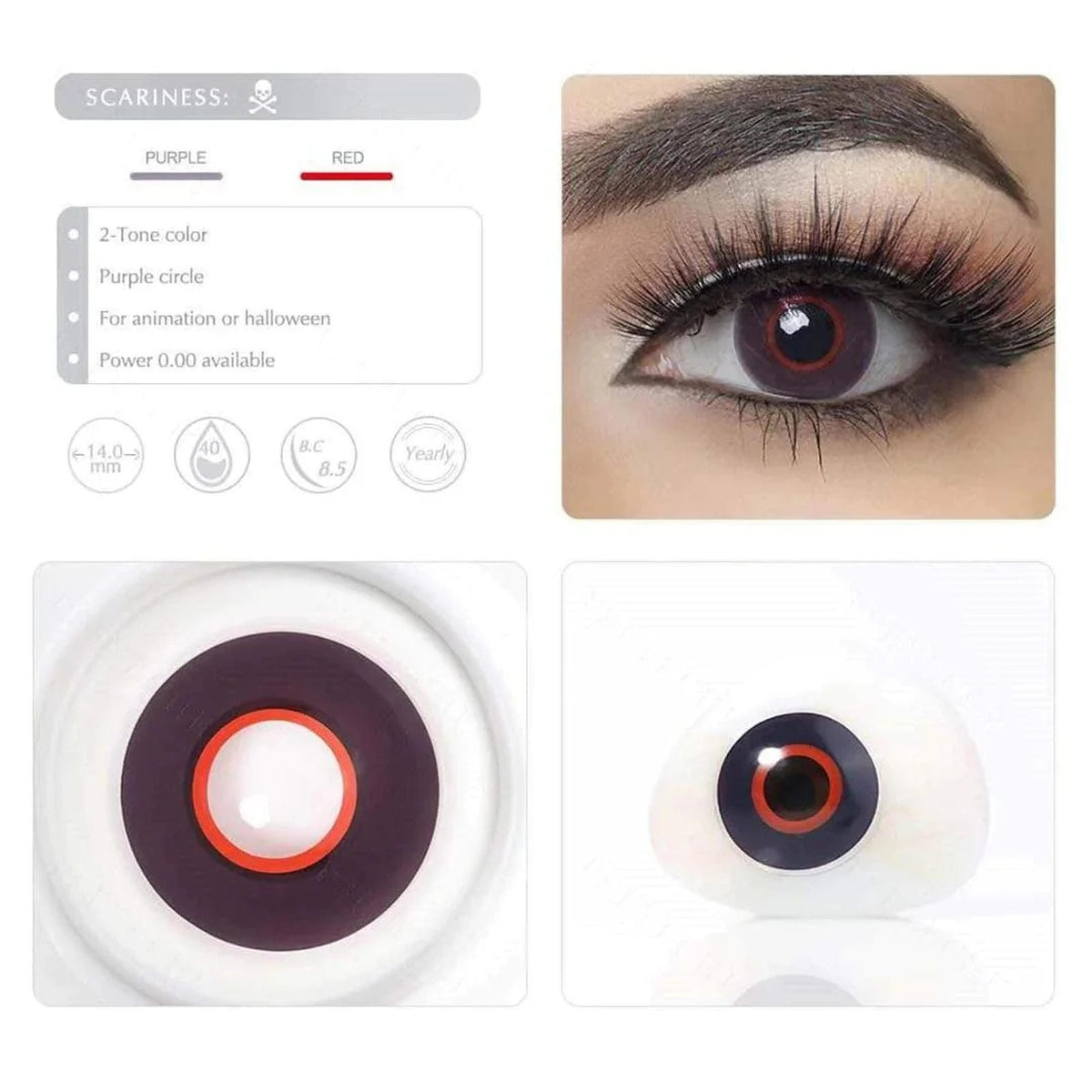 Purple Circle (Expiry 24/09)