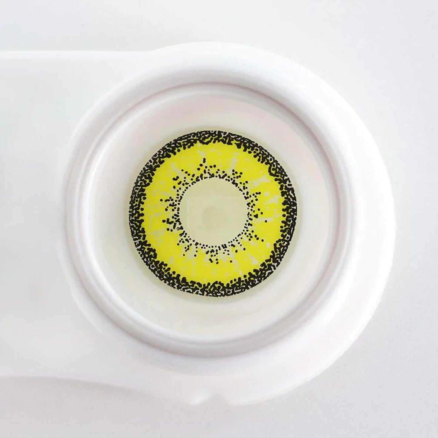 Dolly Yellow