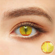 Dragon Yellow