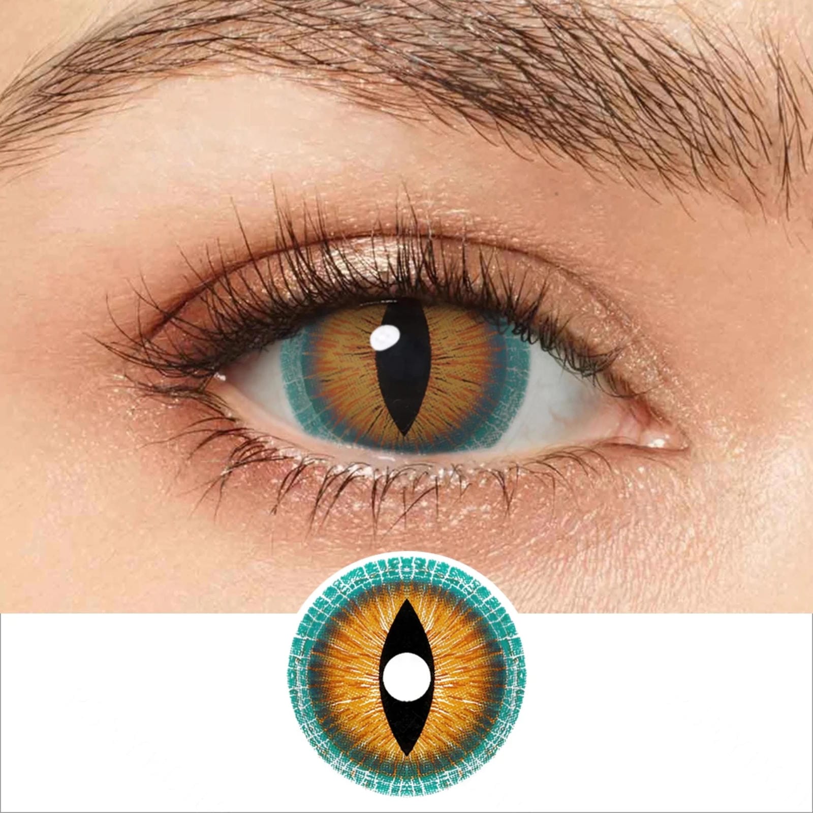 Lizard Contacts 17mm Brown Lizard Mini Sclera Contacts – Halloween Contact Lenses