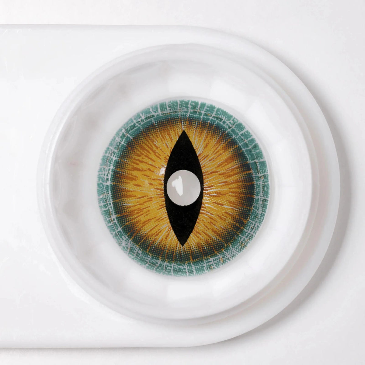 Lizard Contacts 17mm Brown Lizard Mini Sclera Contacts – Halloween Contact Lenses