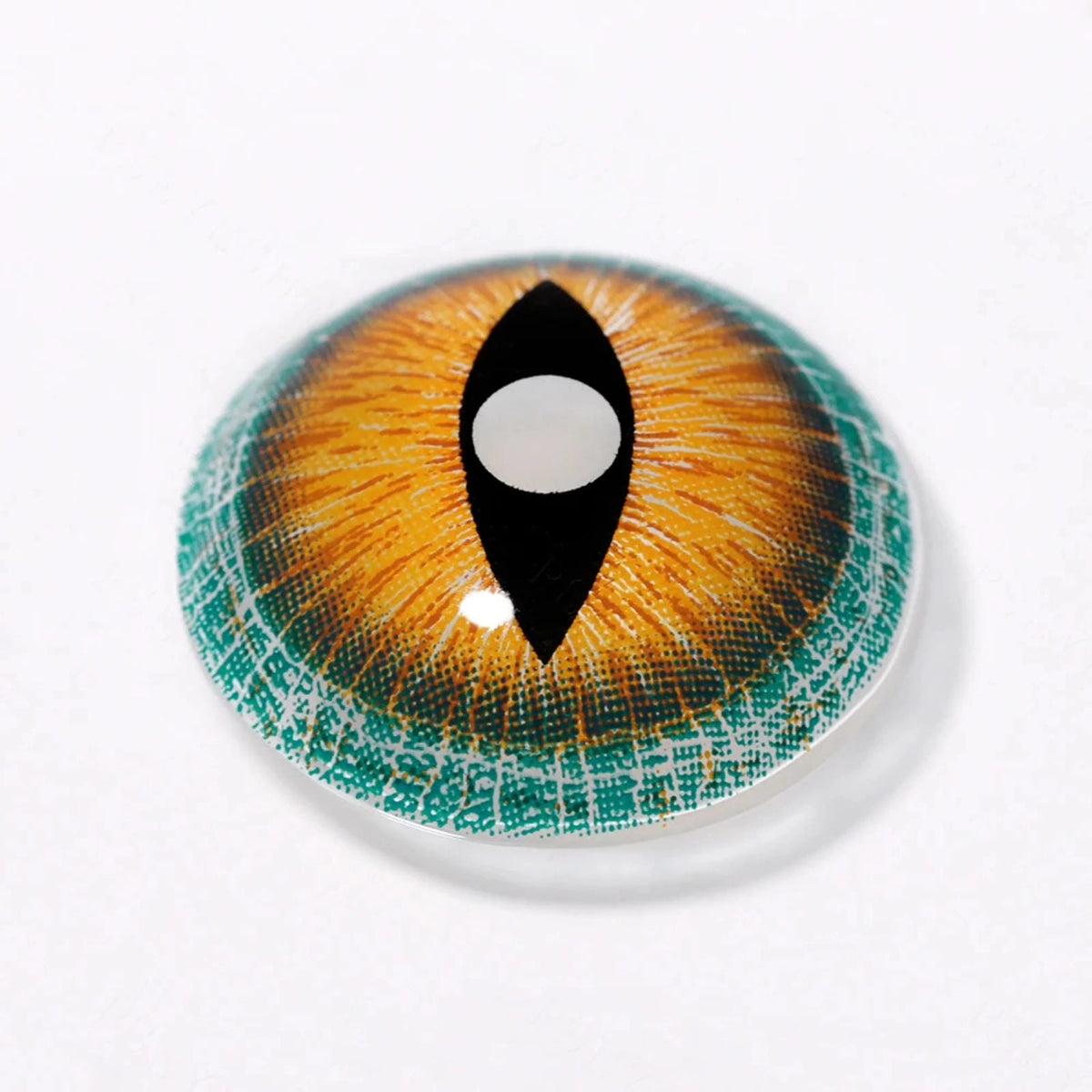 Lizard Contacts 17mm Brown Lizard Mini Sclera Contacts – Halloween Contact Lenses