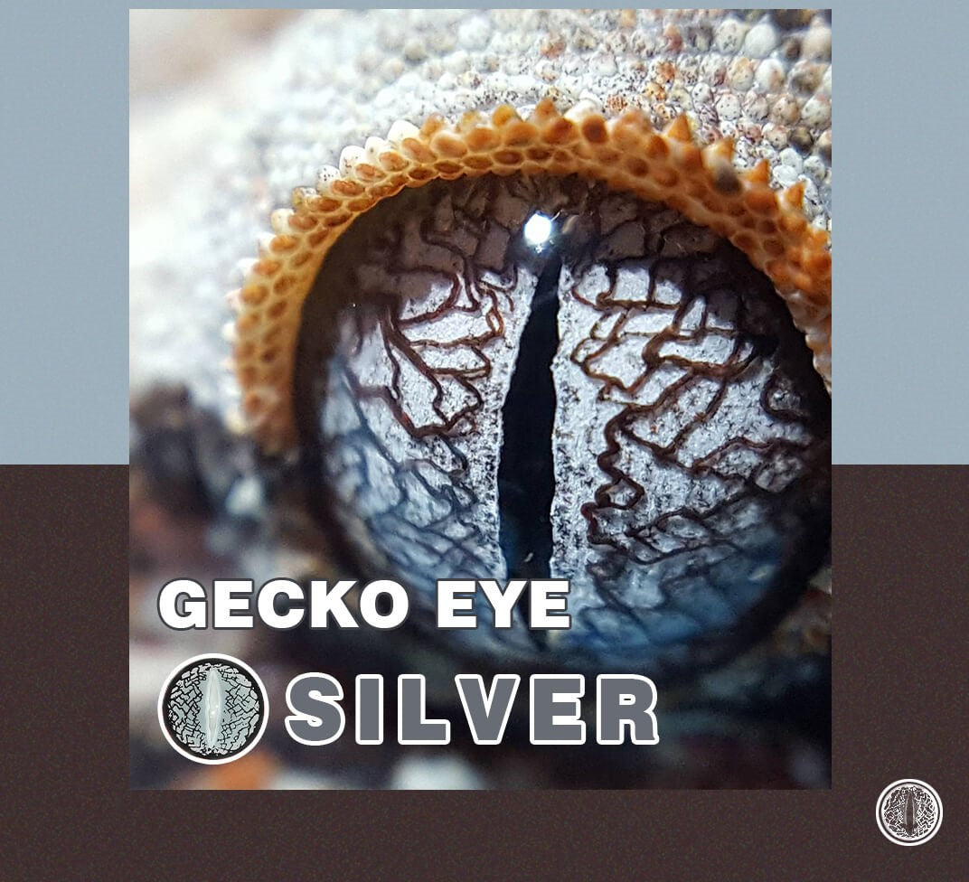 Silver Lizard Eye