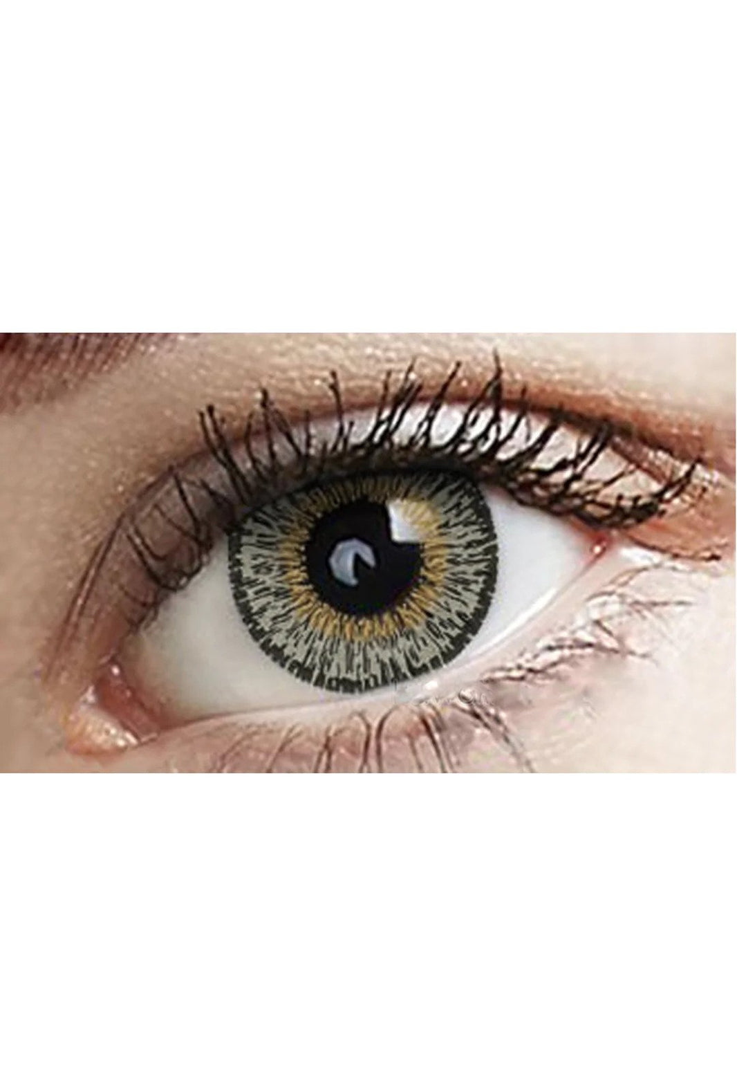 Buy Halloween Contact Lenses Australia | Halloween Eye Contacts